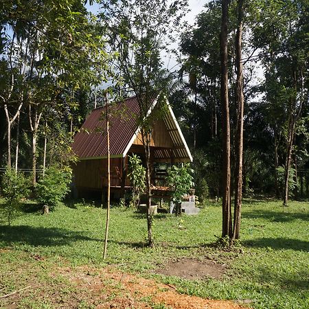 Khao Sok National Park Khao Sok Jungle Resort מראה חיצוני תמונה