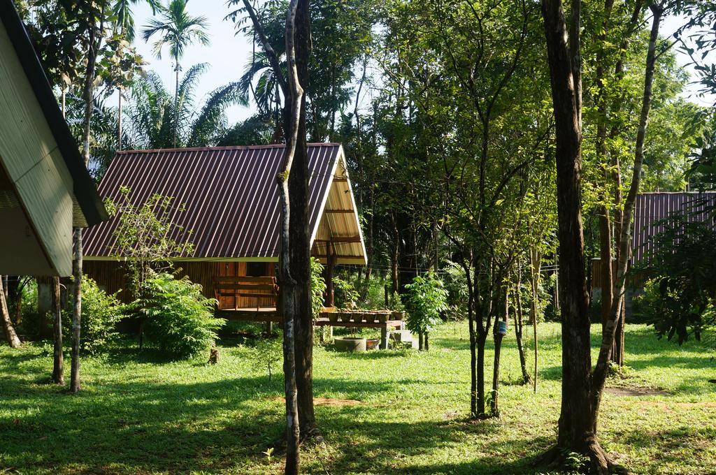 Khao Sok National Park Khao Sok Jungle Resort חדר תמונה