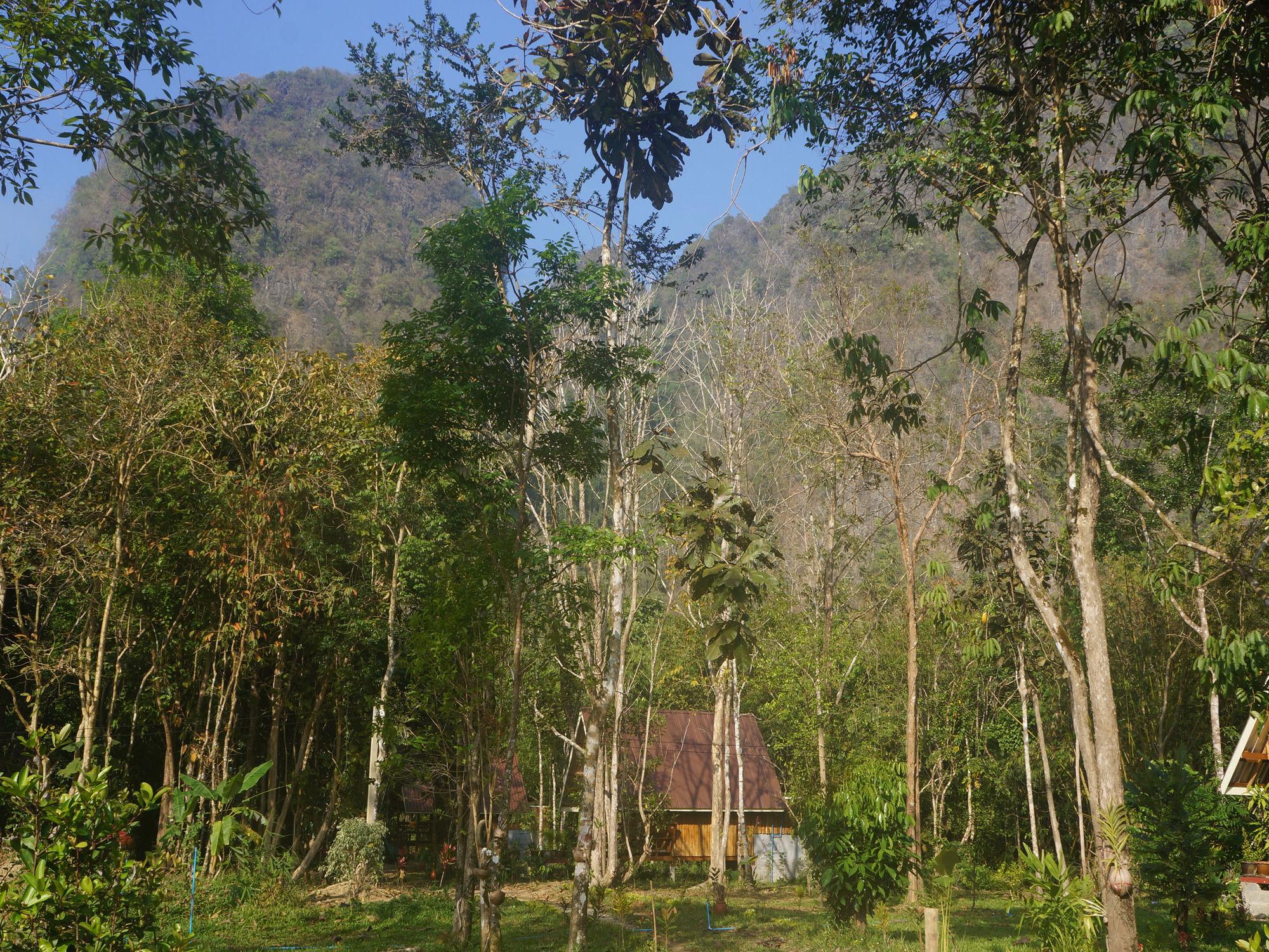 Khao Sok National Park Khao Sok Jungle Resort מראה חיצוני תמונה