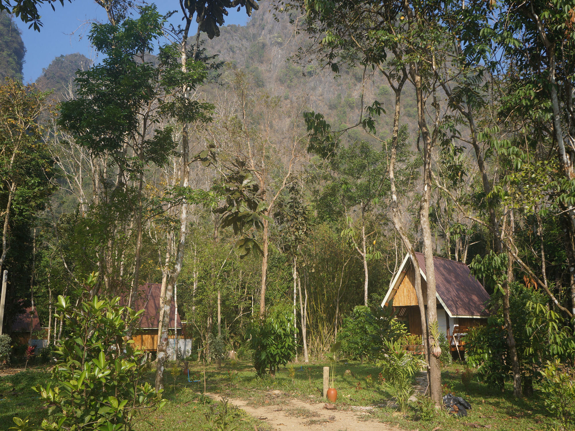 Khao Sok National Park Khao Sok Jungle Resort מראה חיצוני תמונה