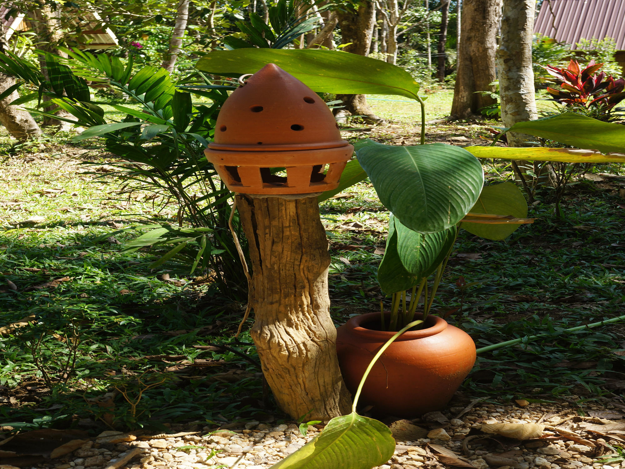 Khao Sok National Park Khao Sok Jungle Resort מראה חיצוני תמונה